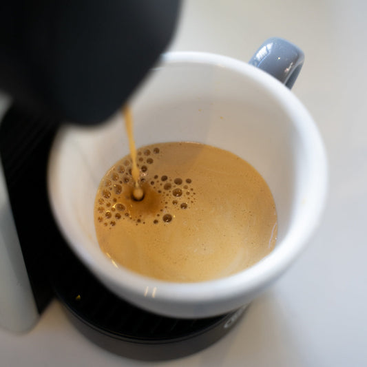 Hot Shot Coffee Decaf Organic Pods