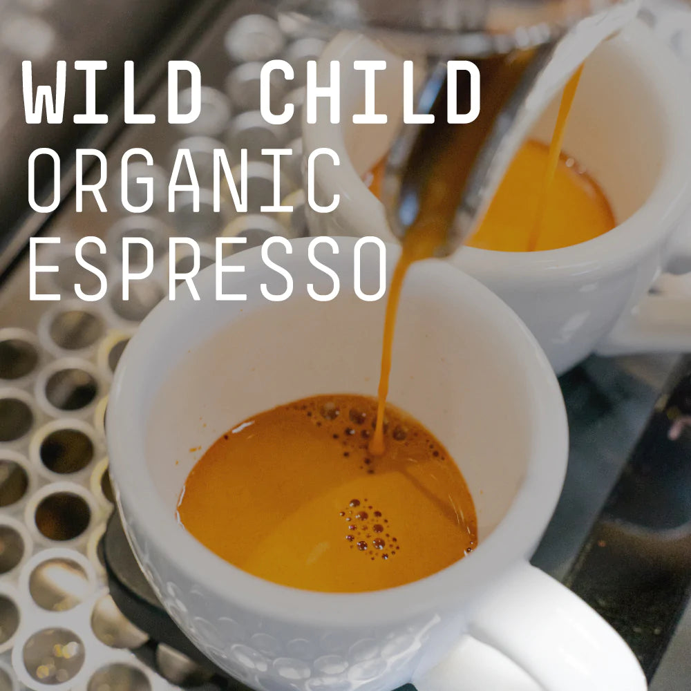 Wild Child Organic Espresso Blend