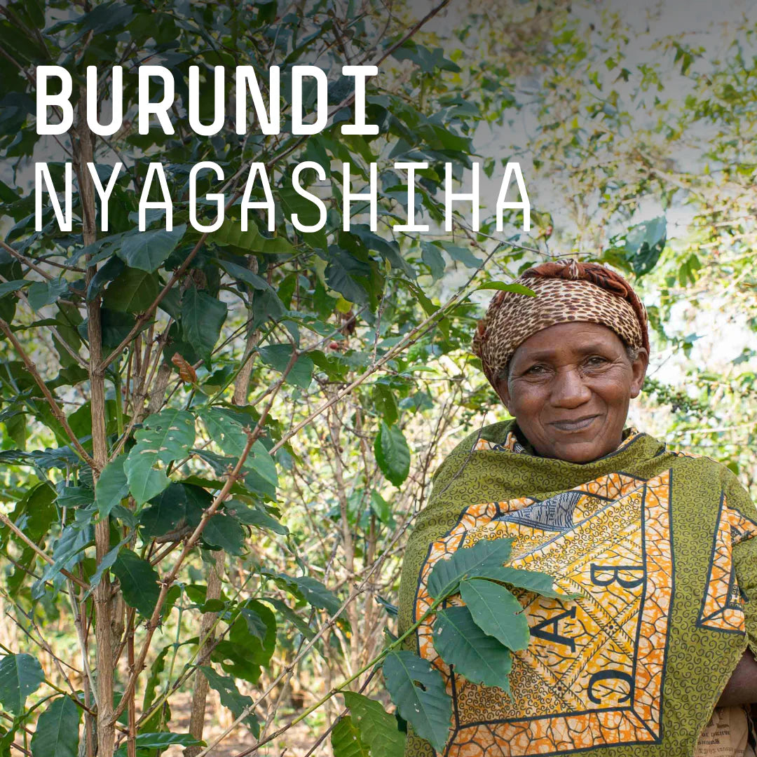 Burundi Nyagashiha Filter