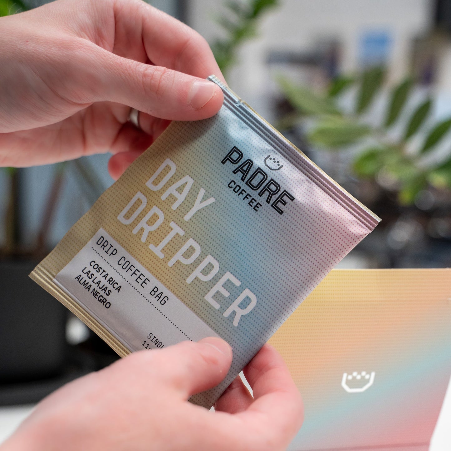 Costa Rica Day Per Coffee Bags Las Lajas Alma Negra