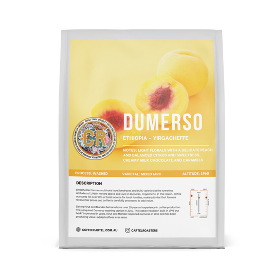 Ethiopia Dumerso Filter