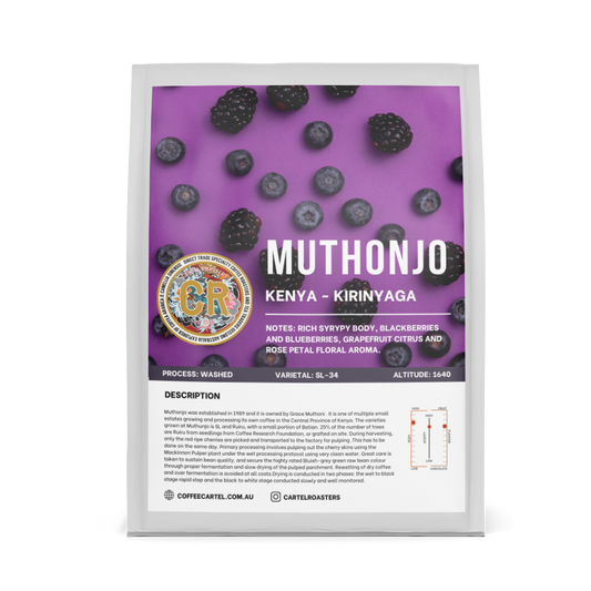 Kenya Muthonjo Kirinyaga Espresso