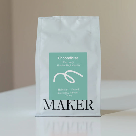 Ethiopia Shoondhisa Filter