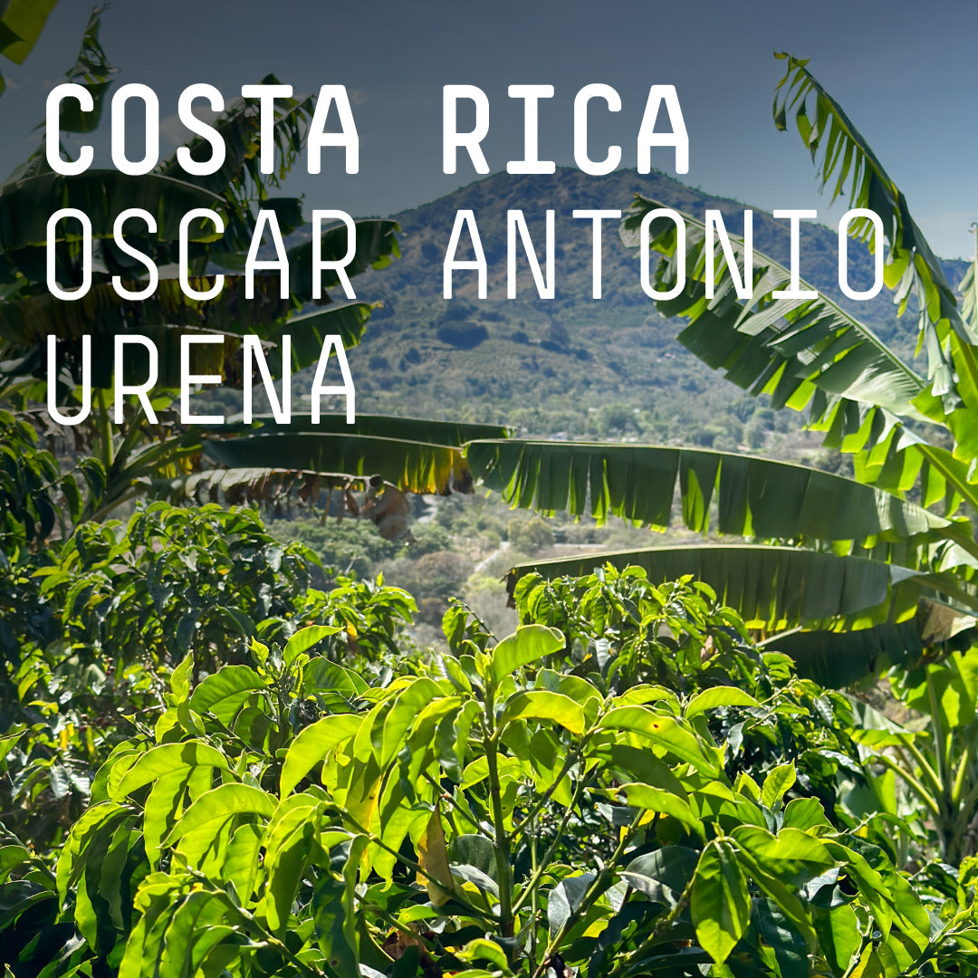 Costa Rica Oscar Antonio Urena Espresso