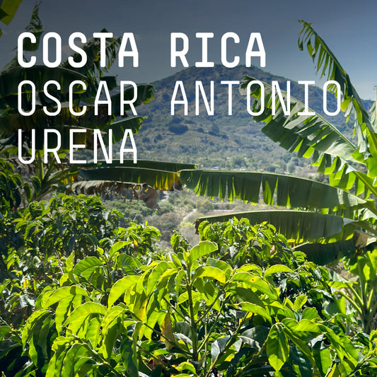 Costa Rica Oscar Antonio Urena Espresso