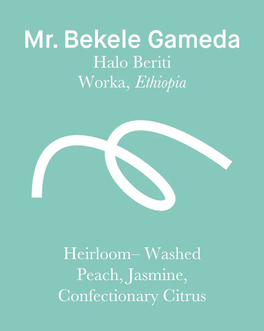 Ethiopia Bekele Gemeda Filter