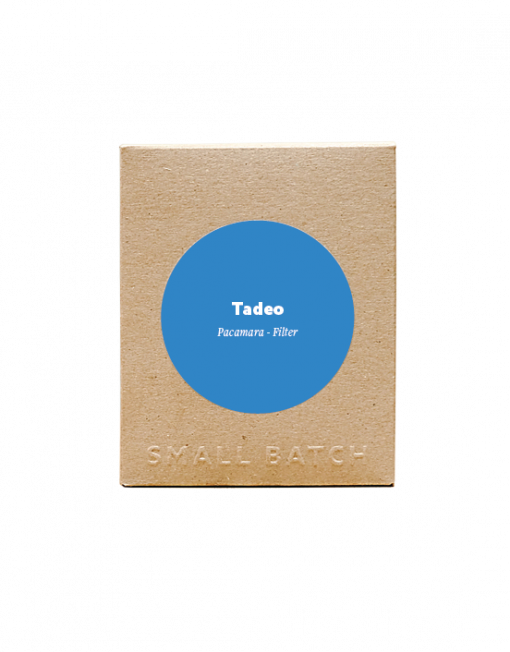 Guatemala Tadeo Lopez Filter
