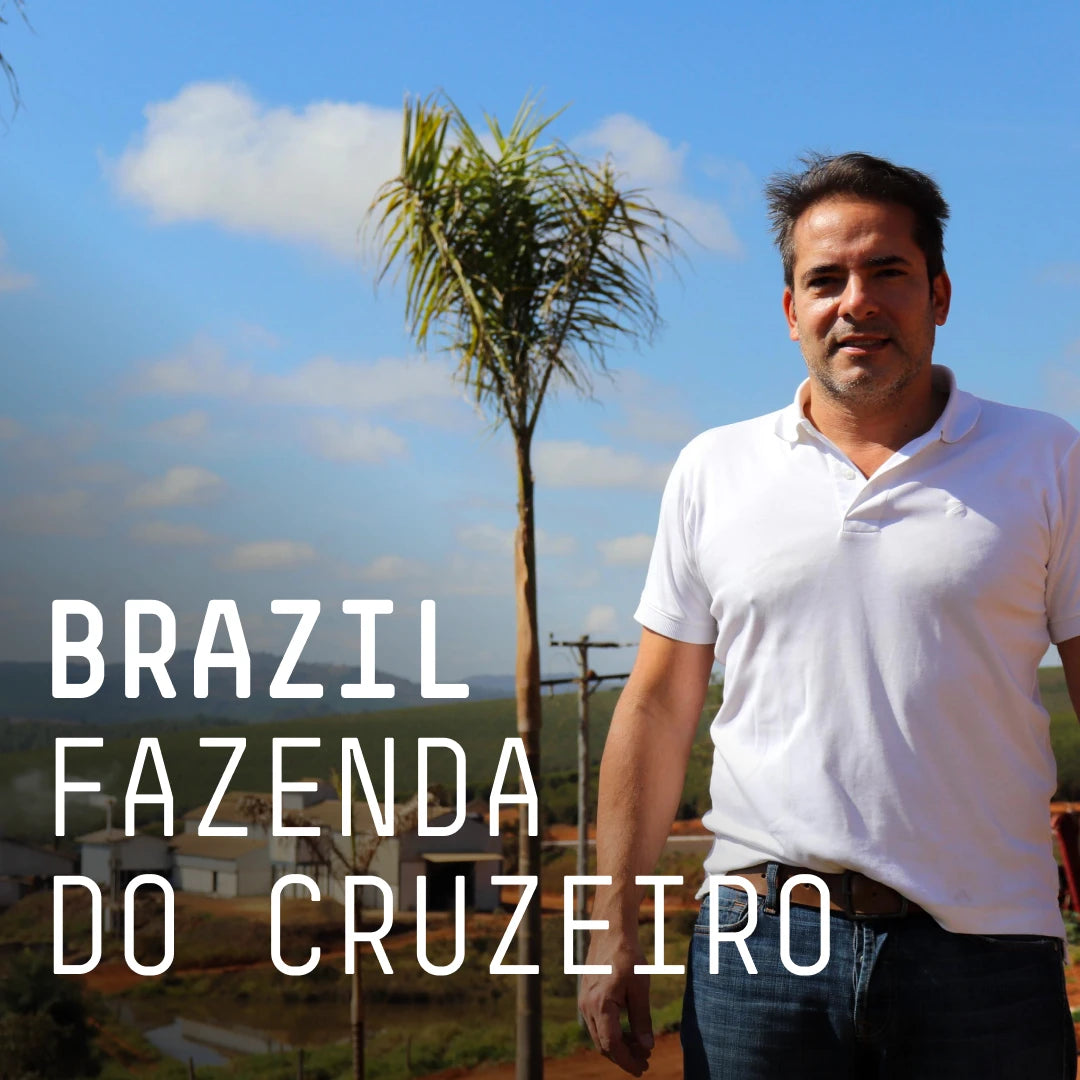 Brazil Fazenda Do Cruzeiro Espresso