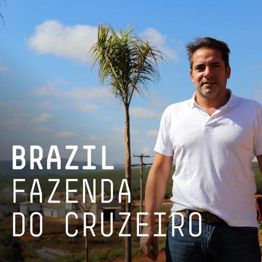 Brazil Fazenda Do Cruzeiro Espresso