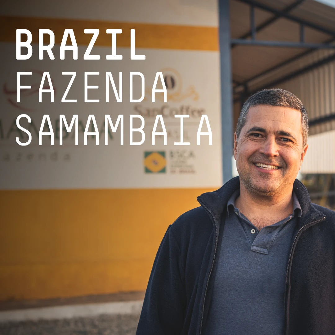 Brazil Fazenda Samambaia Espresso
