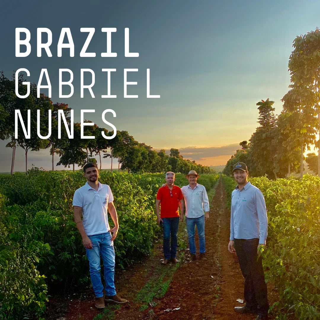 Brazil Gabriel Nunes Filter