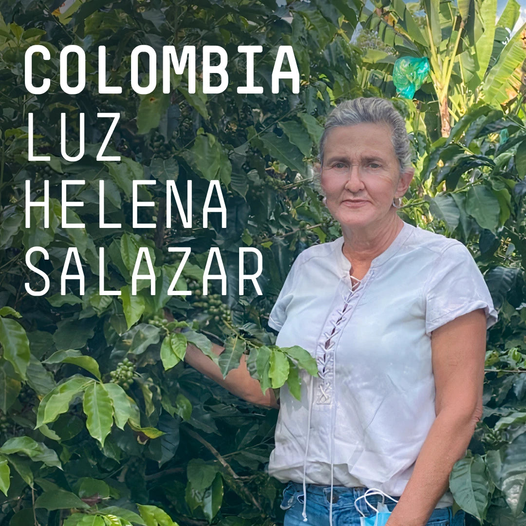 Colombia Luz Helena Salazar Filter
