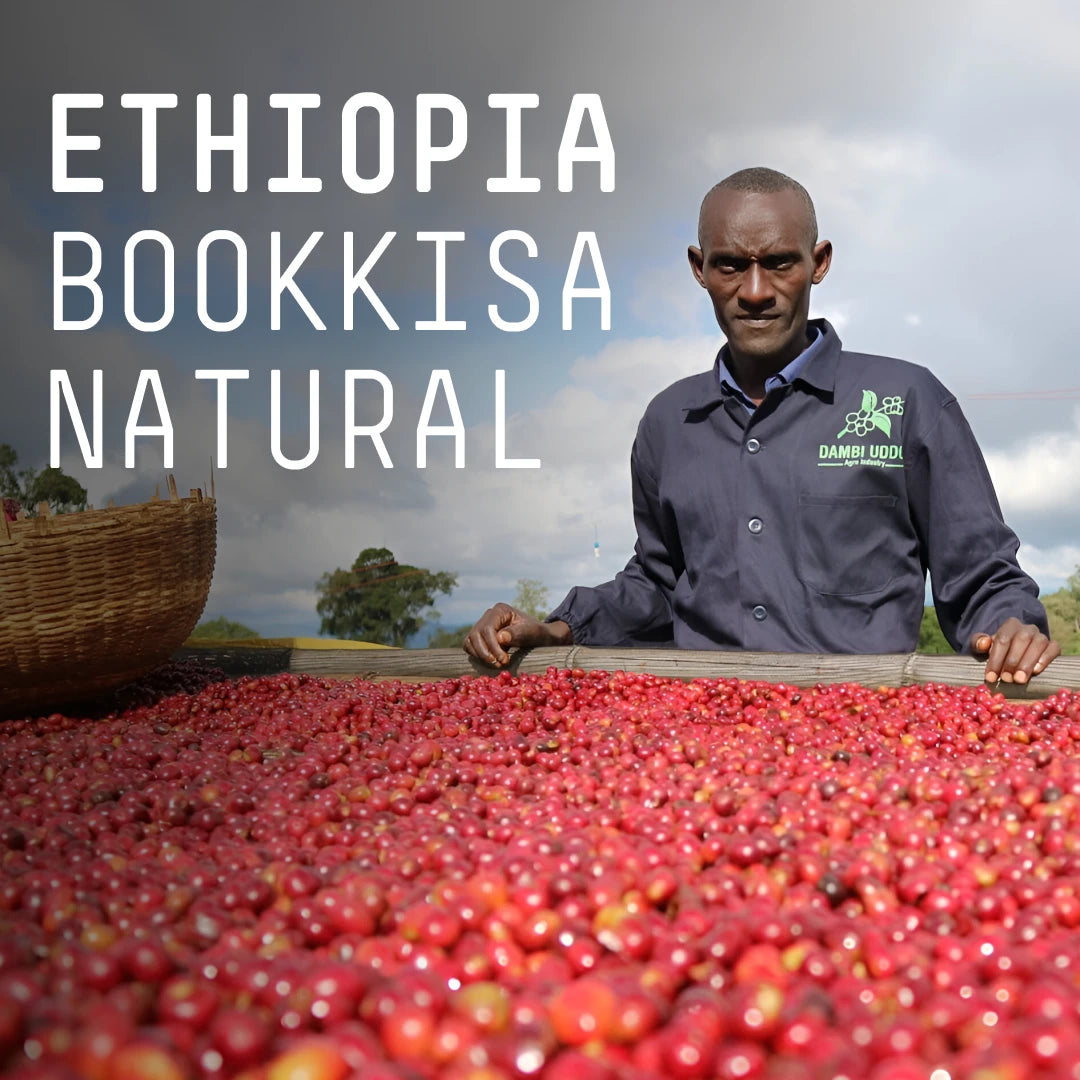 Ethiopia Bookkisa Filter