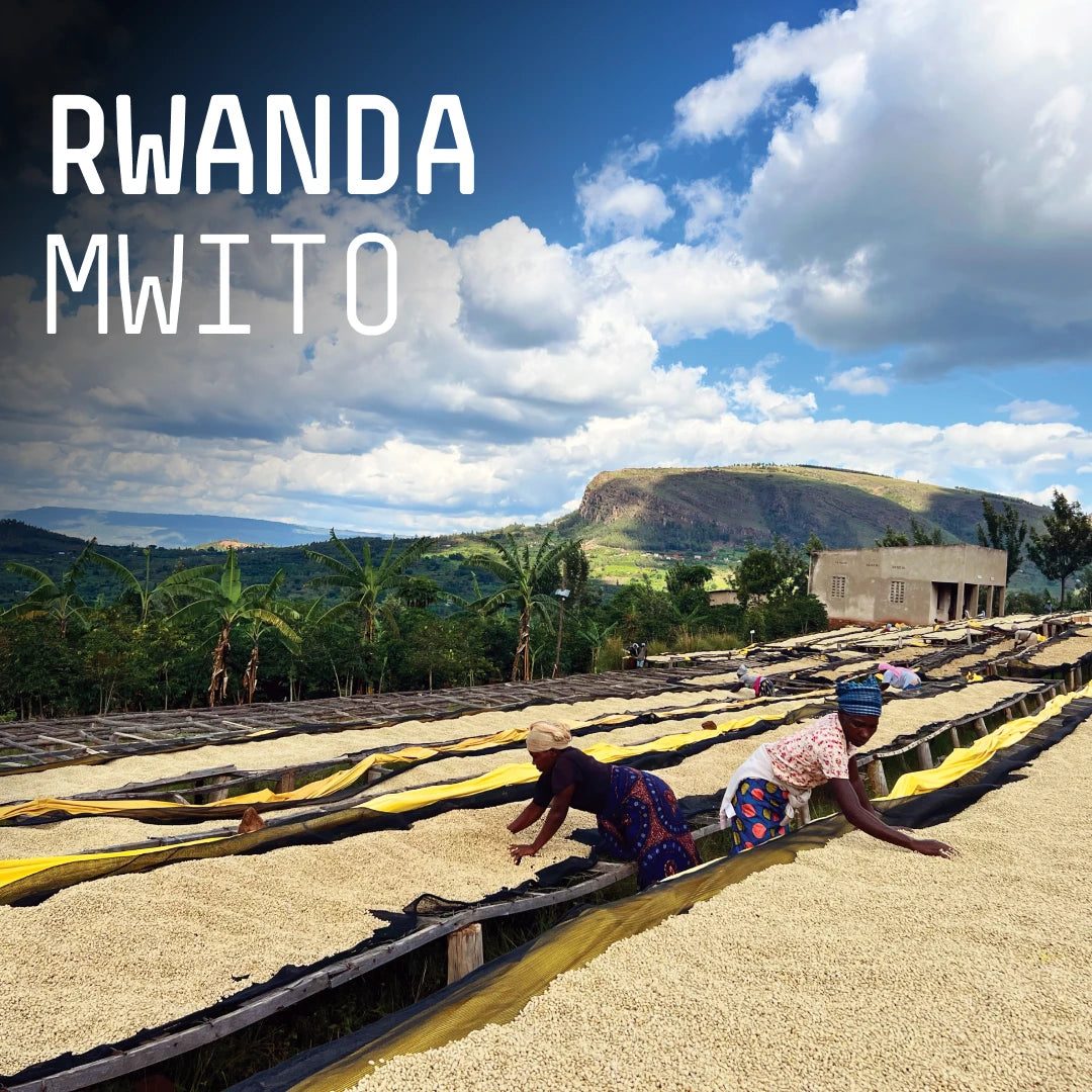 Rwanda Mwit Espresso